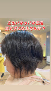 マッシュレイヤーボブ - 美容室Stella掲載
