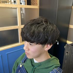 マッシュスタイル - 髪質改善 個室サロン Aurora 蔵前美容院【オーロラ】掲載