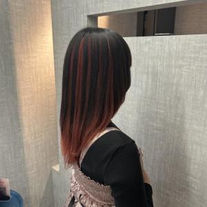 アンブレラカラー - Lanisis Hair掲載