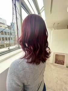 SOLVER×Color - Solver掲載