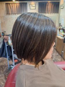 Highlight MiniBob 
