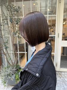 まとまるぱつっと軽め切りっぱなしボブ　髪質改善暗め艶ブラウン - Neolive aim 横浜店掲載