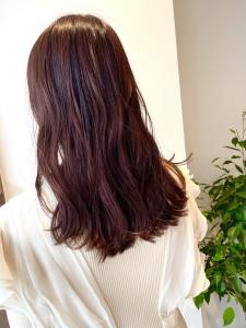 カシスピンク☆ - 半個室 rire hair 千早店掲載