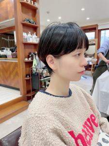 マッシュショート/アッシュブラック/20代30代40代50代 - RAPPOR 柏店掲載