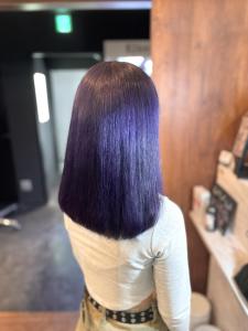 ダークパープル - Bulansis Hair掲載
