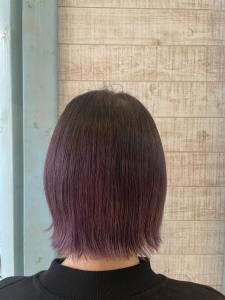 ラベンダーグラデーションカラー - K's Hair 津田沼 SHORE店掲載