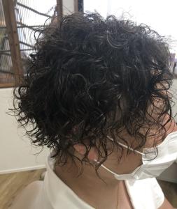 Hair Salon 63×ショート - Hair Salon 63掲載