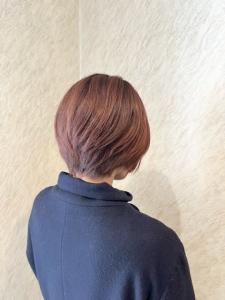 すっきりショート - SUPER CUT 鳥居前店掲載
