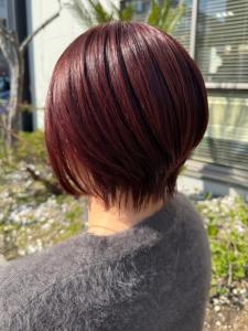 丸みショートレイヤーボブ　チェリーレッド - NAKAO COIFFURE掲載