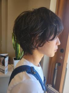 マッシュショート - UTATANE掲載