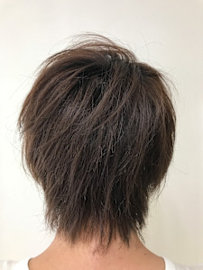 マッシュレイヤーウルフ - 美容室Stella掲載