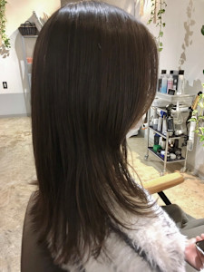 ウルフレイヤー - salon yamamoto掲載