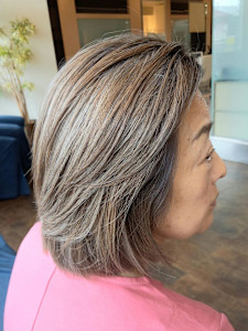 白髪ぼかしハイライト - Beautissimo 東長崎掲載