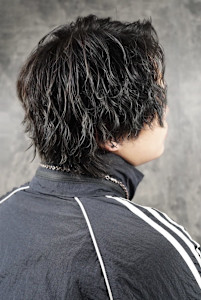 ツイスパセンターパートウルフ