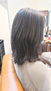 ブルージュ - jenta掲載