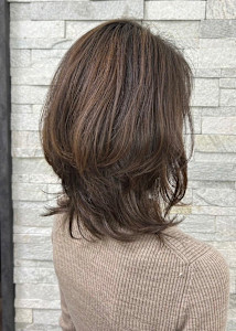 ミディアムウルフ - Fair掲載