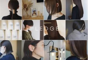 pledge(プレッジ)