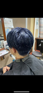 ネイビーブルーカラー - Papillon Rose掲載