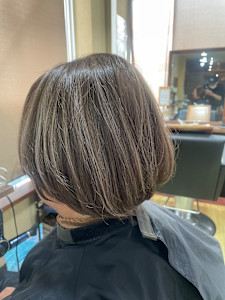 ハイライトカラー - Papillon Rose掲載