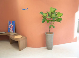 welc(ウェルク)