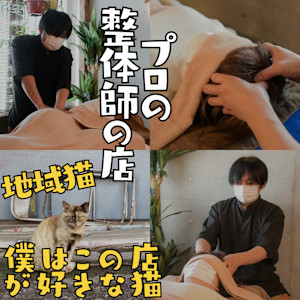 フラミンゴの休日 高崎美容健康整体 頭ほぐし&ボディケア【整体学校併設】(フラミンゴノキュウジツタカサキビヨウケンコウセイタイアタマホグシボディケアセイタイガッコウヘイセツ)
