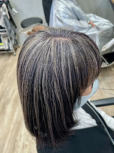 G 白髪ぼかしハイライト細め - NOAHL掲載