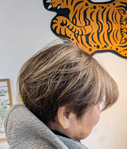 白髪ぼかし＋ハイライト