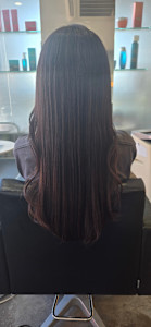 ボルドーブラウン - AGEE GARDEN 【アージェガーデン】掲載