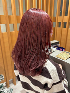 ワインレッドカラー - apish kokubunji掲載