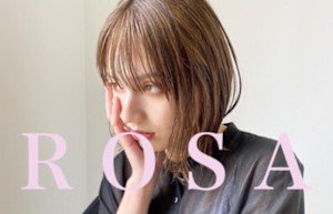Rosa Mme.Hardy【ロッサ マダムアルディ】(ロッサ マダムアルディ)