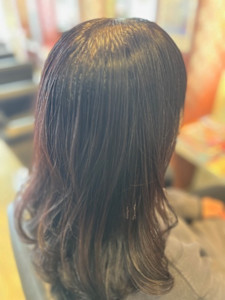 メディアムレイヤー - エル美容室掲載