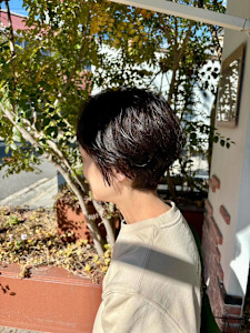 Lico hair  - Lico hair掲載