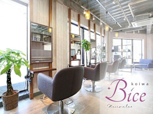 Bice小岩(ビーチェコイワ)