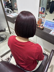 カシスレッド - crop-es茅ヶ崎掲載