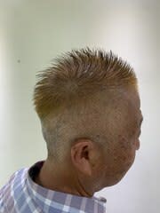 脱白髪染め - HAIR & MAKE EARTH 高田馬場店掲載