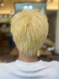 メンズ抜きっぱなしショート - Van family MEGA ドン・キホーテUNY福井店掲載