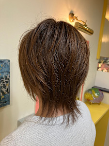 ハイレイヤーウルフ - 美容室Stella掲載