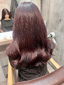 ワインレッド　新宿　髪質改善 - ARiA by ECLART新宿南口店掲載