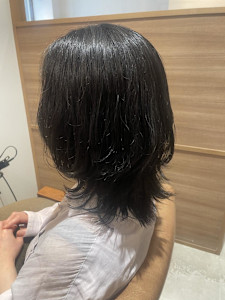 ウルフレイヤー - 半個室型美容室 Sourire 箱崎店掲載