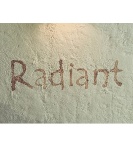 Radiant 泉南店(ラディアント センナンテン)