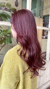 THE BEEHIVE DELUXE×スタイル - THE BEEHIVE DELUXE掲載