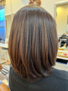 ボブ - concierge 泉区将監殿店掲載