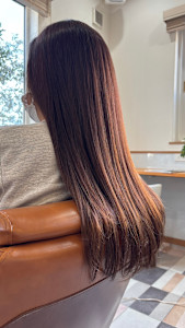 ファイバートリートメント - concierge 泉区将監殿店掲載