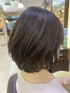 ふわボブ - QUARTER RESORT 神楽坂掲載