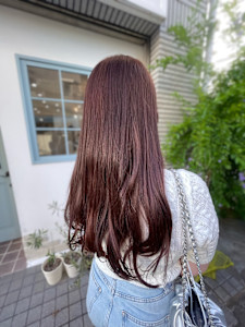 ピンクラベンダー - jenta掲載