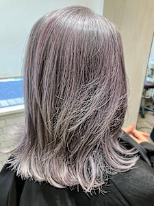 グレイパープル - ALGERNON 【アルジャーノン】掲載