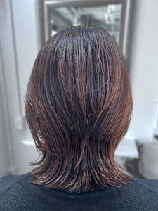 大人エレガントレイヤー