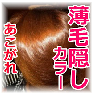 キングスクロス（キングスクロス） - キングスクロス掲載