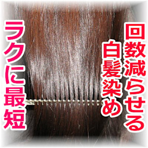 口コミ - キングスクロス掲載