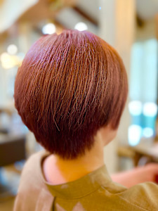 大人ピンクショート - Van family MEGA ドン・キホーテUNY福井店掲載